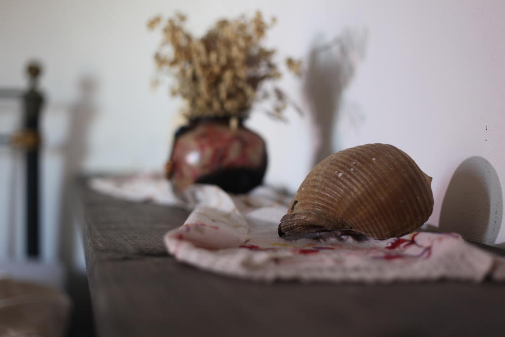 Mahzen Hotel Ayvalik Room photo